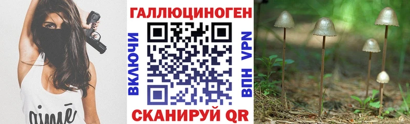 купить закладку  Горно-Алтайск  Галлюциногенные грибы прущие грибы 